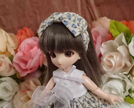 f:id:itoko-2009:20190610151430j:plain
