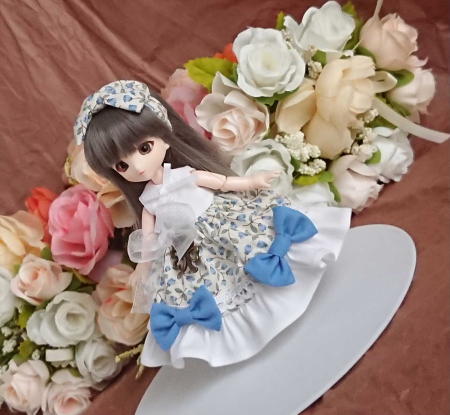 f:id:itoko-2009:20190610151455j:plain