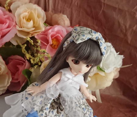 f:id:itoko-2009:20190610151510j:plain
