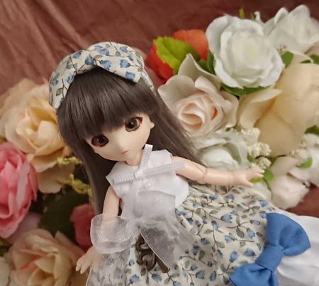 f:id:itoko-2009:20190610151555j:plain