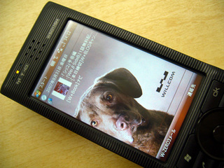 f:id:itokoichi:20070904155553j:image f:id:itokoichi:20070904155553j:image