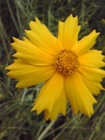 f:id:itokoichi:20080628123458j:image:w240