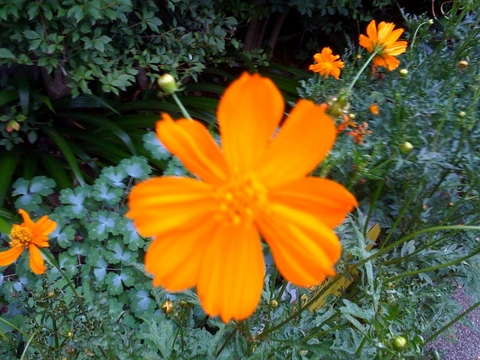f:id:itokoichi:20080726185625j:image
