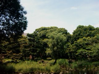 f:id:itokoichi:20080819112903j:image f:id:itokoichi:20080819112903j:image