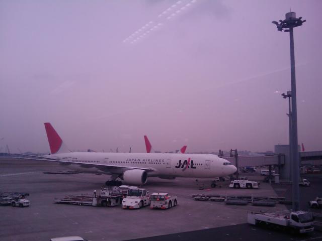 f:id:itokoichi:20090213101702j:image:w320