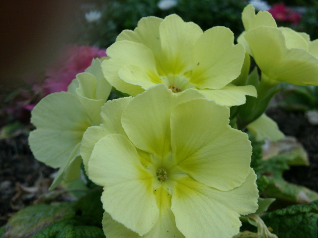 f:id:itokoichi:20100226102932j:image:w320