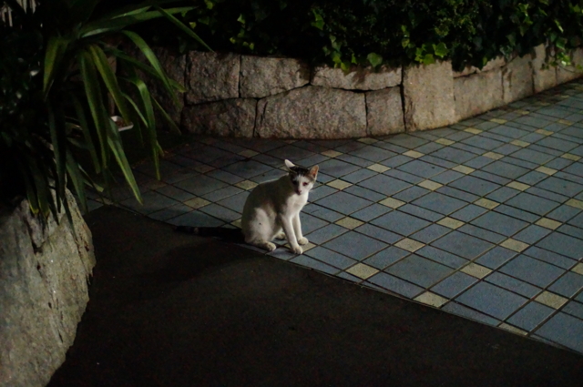 f:id:itokoichi:20120805181258j:image:w320