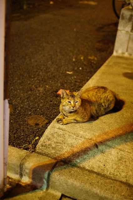 f:id:itokoichi:20120805181301j:image:w240