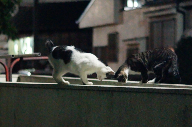 f:id:itokoichi:20120805232009j:image:w320