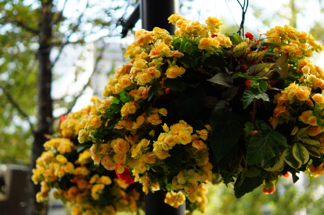 f:id:itokoichi:20121031223316j:image:w320