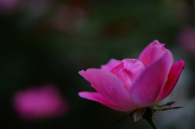 f:id:itokoichi:20121031223319j:image:w320