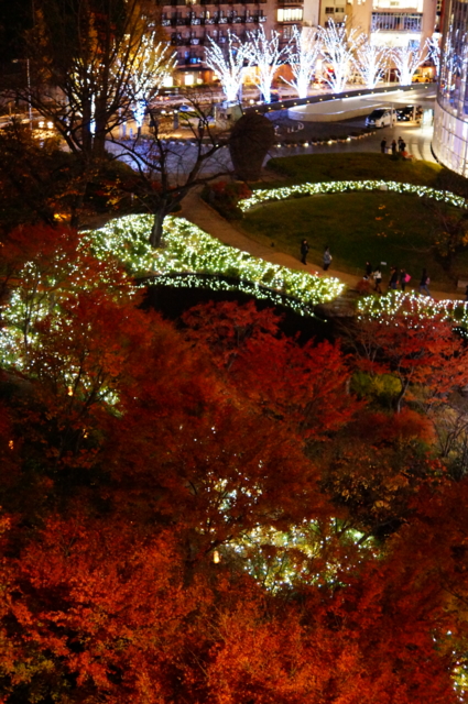 f:id:itokoichi:20121207142046j:image:w240