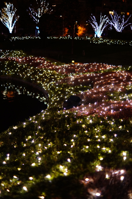 f:id:itokoichi:20121207142048j:image:w240