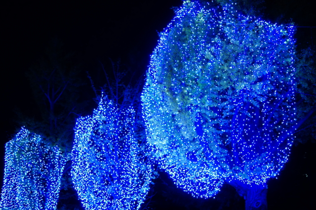 f:id:itokoichi:20121207142054j:image:w320