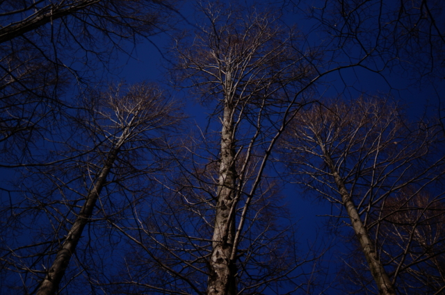 f:id:itokoichi:20130102130642j:image:w320