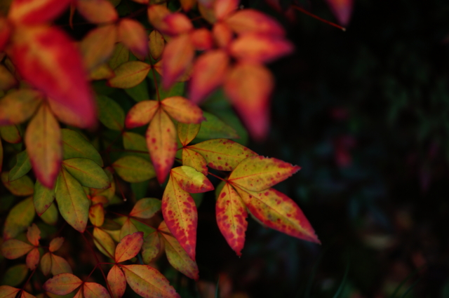 f:id:itokoichi:20130102163029j:image:w320