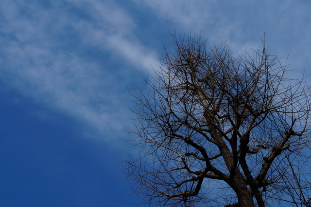 f:id:itokoichi:20130109133345j:image