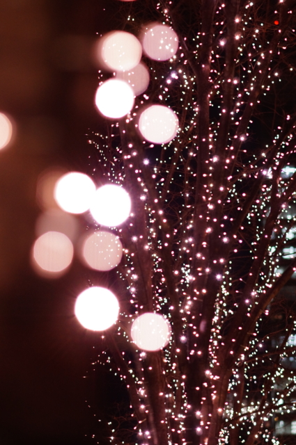 f:id:itokoichi:20130130202513j:image:w240