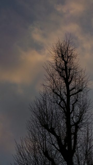 f:id:itokoichi:20130221171657j:image:w240