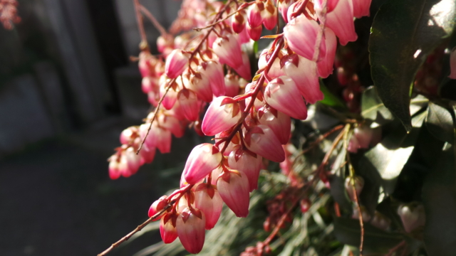 f:id:itokoichi:20130222081545j:image:w320 f:id:itokoichi:20130222081545j:image:w320
