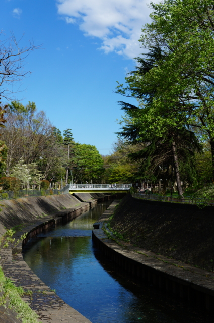 f:id:itokoichi:20130407151631j:image:w240