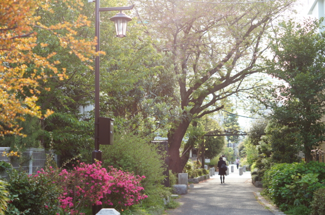 f:id:itokoichi:20130410071638j:image:w320