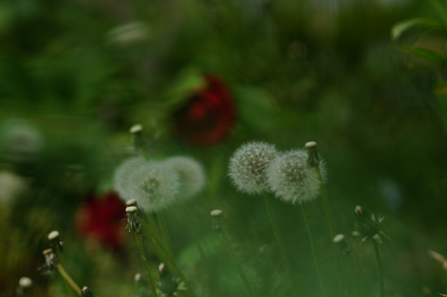f:id:itokoichi:20130420100500j:image:w320