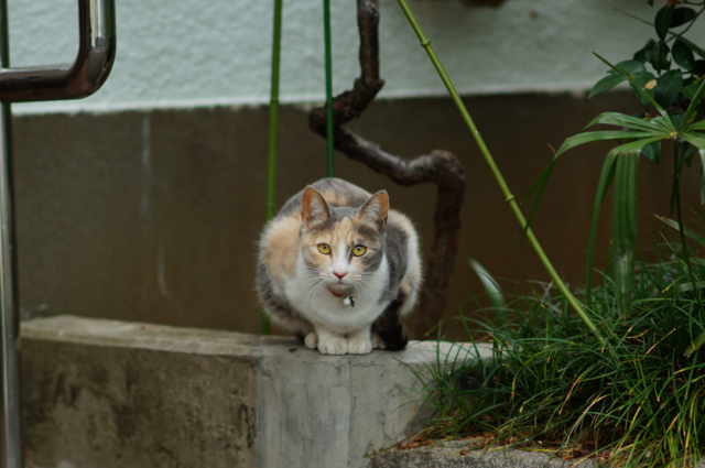 f:id:itokoichi:20130420100952j:image:w320