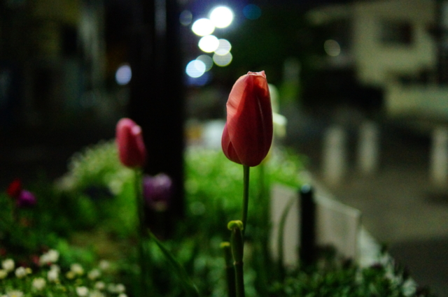 f:id:itokoichi:20130423234936j:image:w320