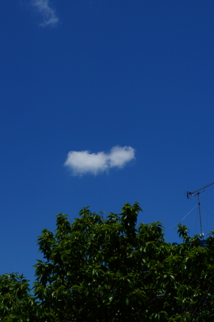 f:id:itokoichi:20130503114539j:image:w240