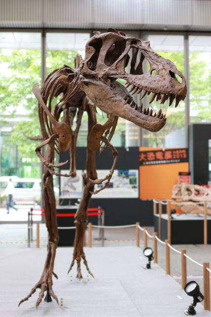 f:id:itokoichi:20130802092036j:image:w240