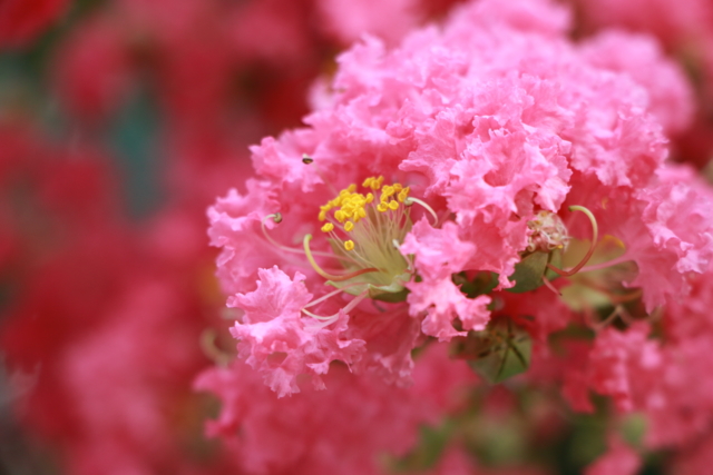 f:id:itokoichi:20130809081503j:image:w320 f:id:itokoichi:20130809081503j:image:w320