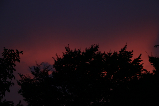 f:id:itokoichi:20130811185444j:image:w320