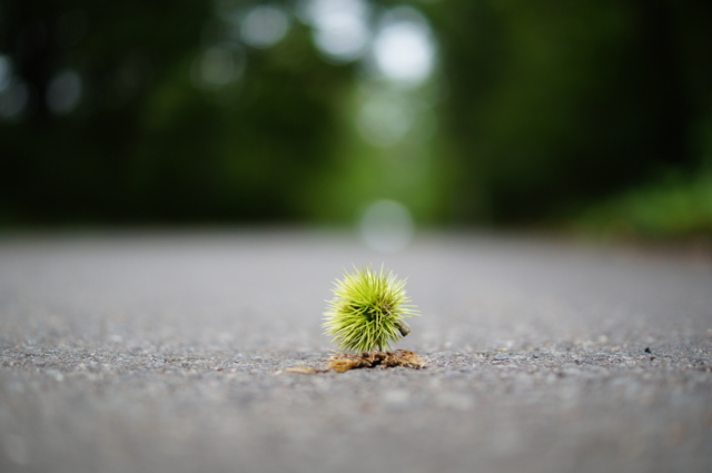 f:id:itokoichi:20130824114259j:image