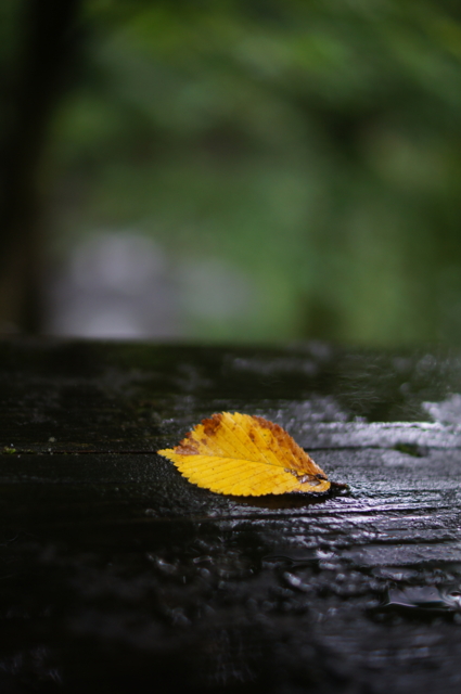 f:id:itokoichi:20130825090350j:image:w240