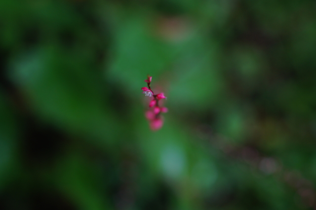 f:id:itokoichi:20130825104302j:image:w320