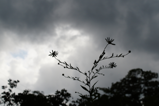 f:id:itokoichi:20130825162111j:image:w320