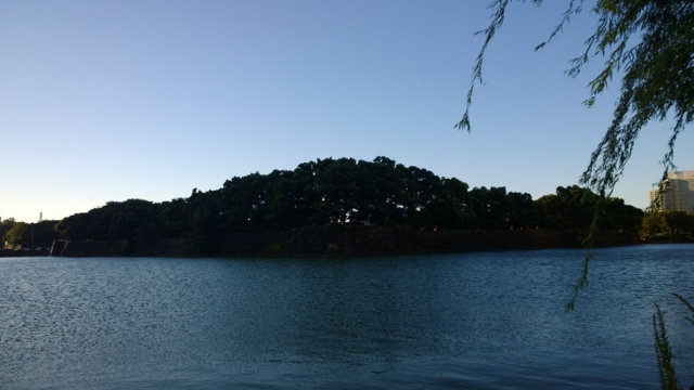 f:id:itokoichi:20131011162432j:image