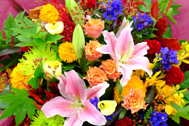f:id:itokoichi:20131104145612j:image:w320 f:id:itokoichi:20131104145612j:image:w320