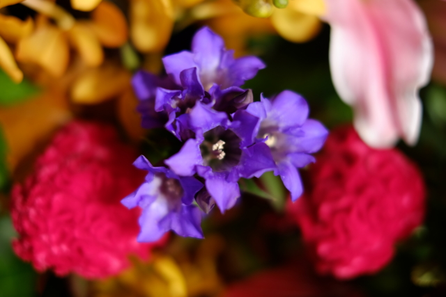 f:id:itokoichi:20131104153112j:image:w320 f:id:itokoichi:20131104153112j:image:w320