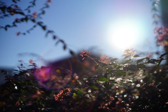 f:id:itokoichi:20131228083116j:image