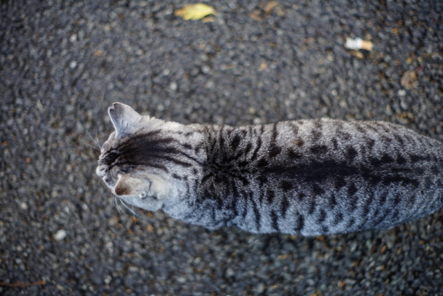 f:id:itokoichi:20131228083224j:image