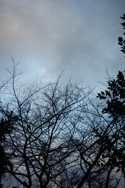 f:id:itokoichi:20140105162255j:image f:id:itokoichi:20140105162255j:image