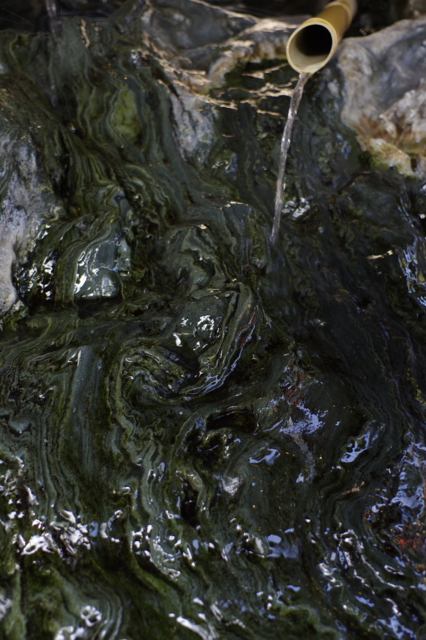 f:id:itokoichi:20140112105521j:image f:id:itokoichi:20140112105521j:image