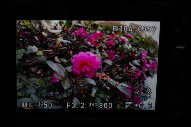 f:id:itokoichi:20140112182524j:image