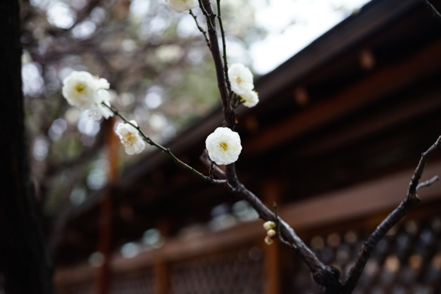 f:id:itokoichi:20140130134543j:image
