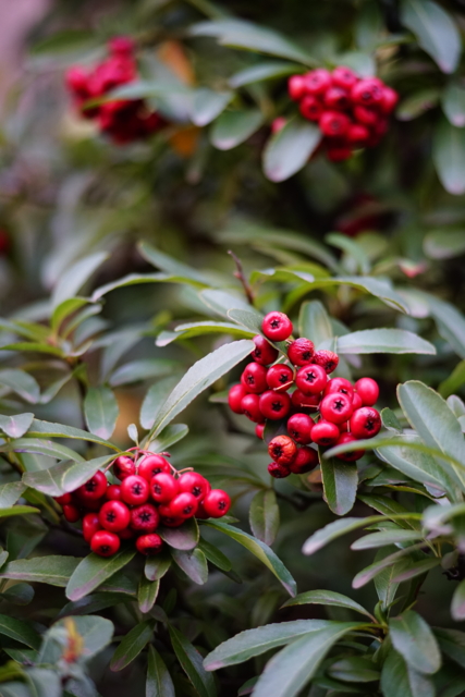 f:id:itokoichi:20140201094354j:image