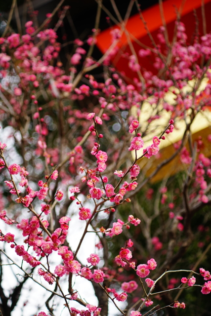 f:id:itokoichi:20140211090700j:image f:id:itokoichi:20140211090700j:image