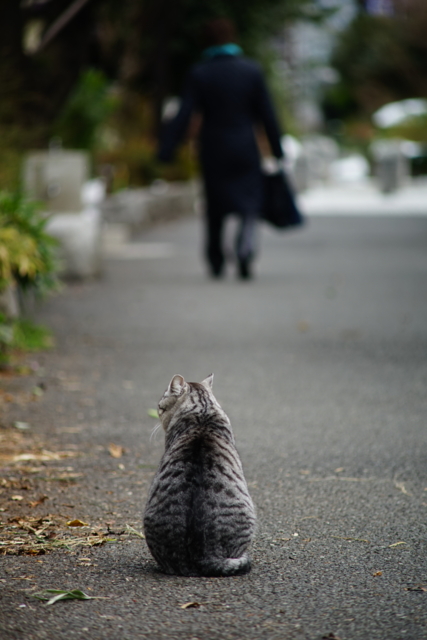 f:id:itokoichi:20140211114550j:image f:id:itokoichi:20140211114550j:image