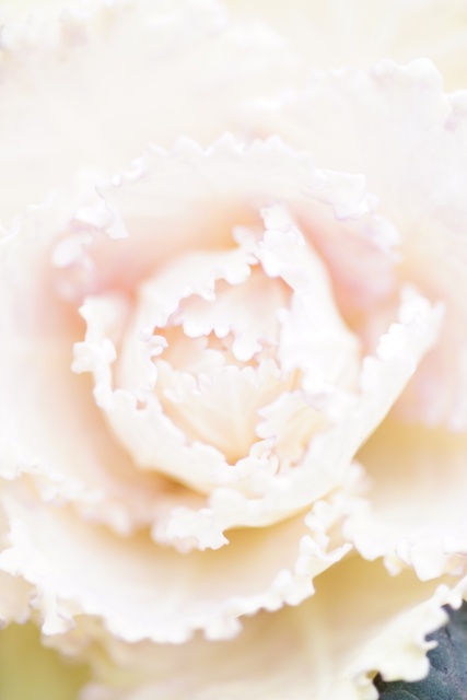 f:id:itokoichi:20140219131533j:image